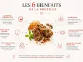 La propolis, bien que bénéfique, peut présenter un danger pour les personnes allergiques. Cette image illustre ses 6 bienfaits.