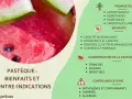 Gros plan sur une pastèque juteuse, avec une liste des bienfaits de la pastèque : hydratante, antioxydante, et renforce le système immunologique.