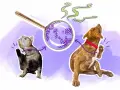 Un chat et un chien se grattent, une loupe montre des levures. Peut-être une allergie levure de bière ?