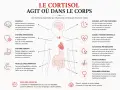 Schéma du corps humain montrant les effets d'un cortisol trop élevé sur le cerveau, le système immunitaire, la digestion, les muscles, le sommeil, le cœur, la glycémie, la peau et les hormones.