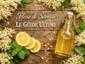 Fleurs de sureau en abondance, une bouteille de sirop doré, des citrons et de la menthe sur fond de bois. Le guide ultime pour le sureau.