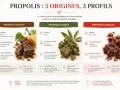Propolis rouge : origine Brésil/Cuba, activité antimicrobienne marquée. Pas d'effets secondaires mentionnés, idéale pour infections et ORL.