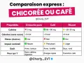 Tableau comparatif chicorée vs café. La chicorée, sans caféine et riche en fibres, offre des bienfaits pour la digestion.