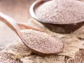 Graines de psyllium sur une cuillère en bois, un remède naturel pour un transit régulier.