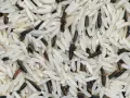 Grains de riz basmati, blancs et noirs, évoquant leur origine et leur mélange savoureux.
