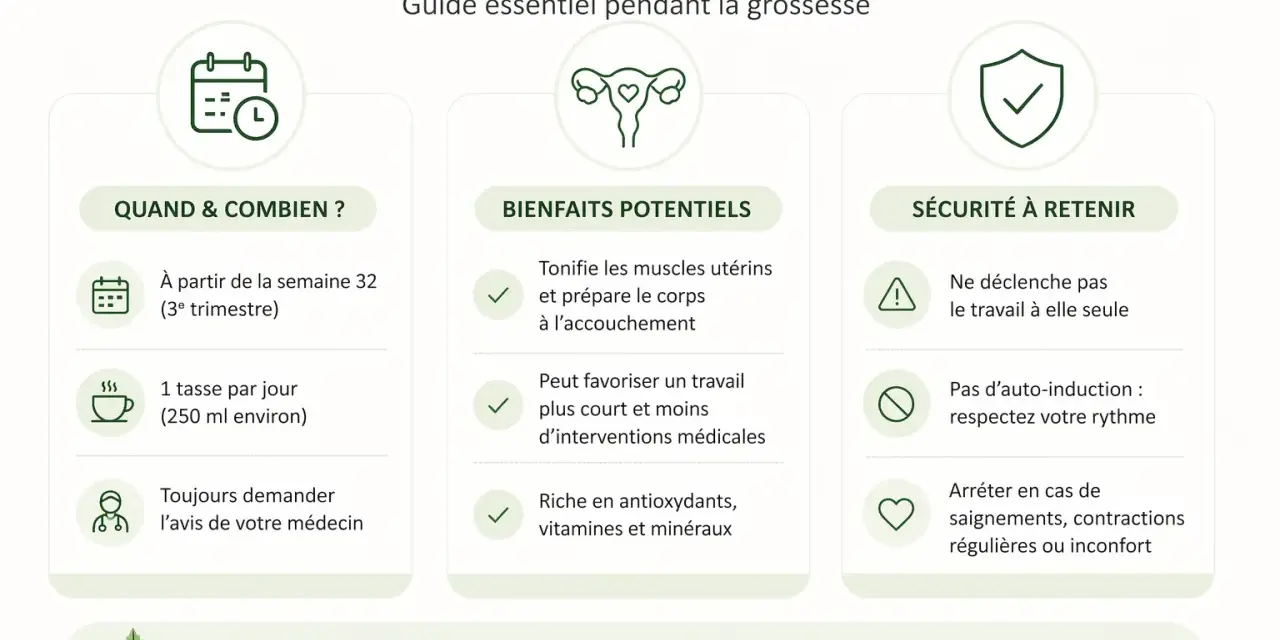 Guide sur le thé de feuilles de framboisier rouge : quand le boire, ses bienfaits potentiels et sa sécurité.