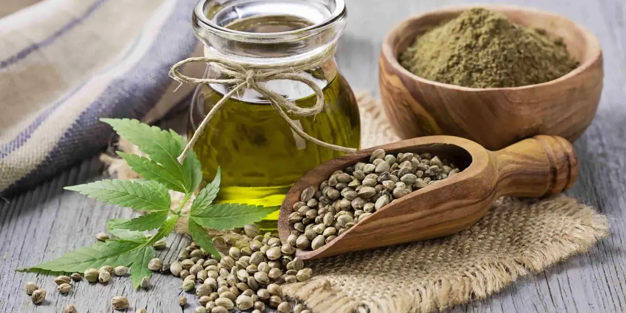 Huile de chanvre cheveux : une fiole d'huile dorée, des graines dans une cuillère en bois, de la poudre verte et une feuille de chanvre sur fond de bois.