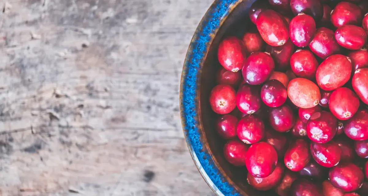 Cranberries dans un bol bleu sur fond de bois. Un remède naturel pour l'infection urinaire.