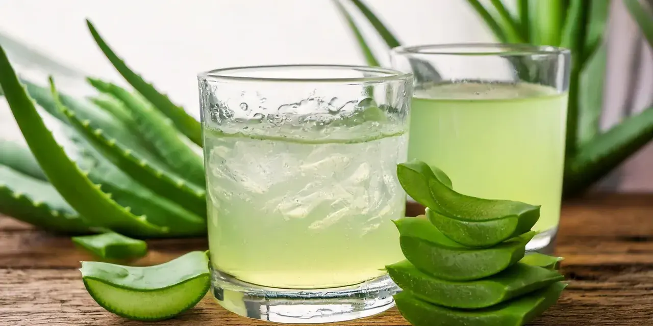Deux verres de jus d'aloe vera à boire, entourés de feuilles d'aloe vera fraîches et de morceaux coupés.