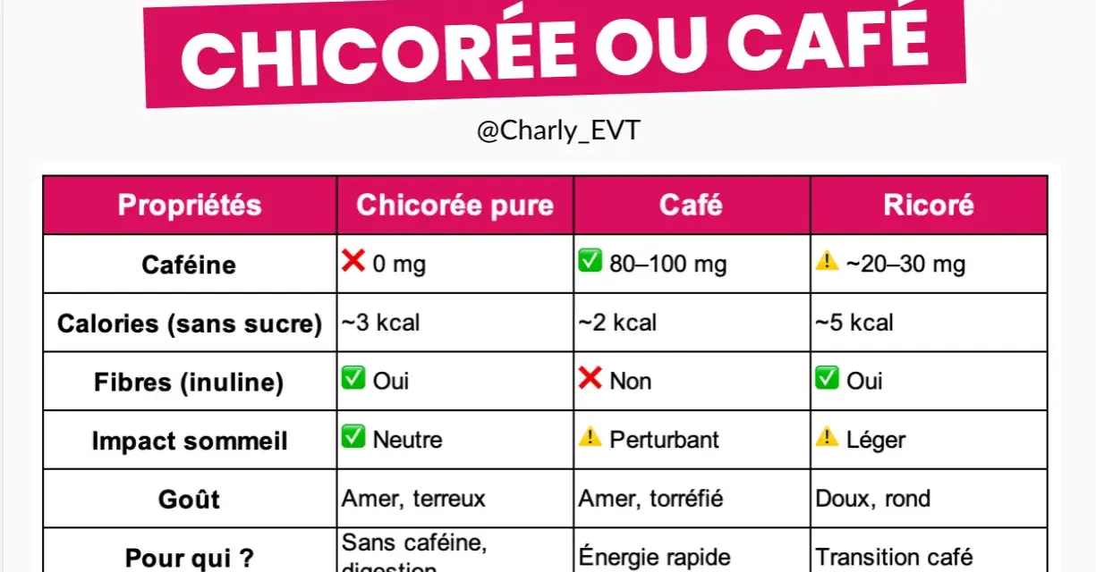 Tableau comparatif chicorée vs café. La chicorée, sans caféine et riche en fibres, offre des bienfaits pour la digestion.