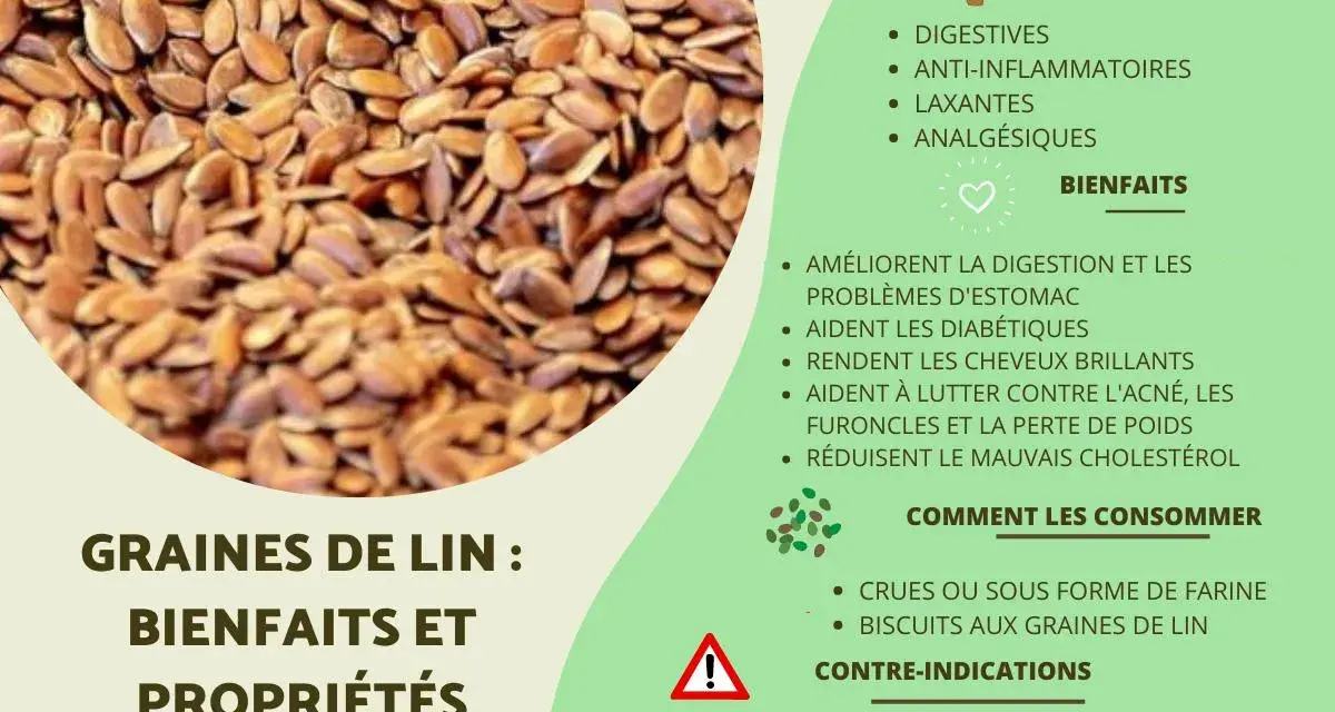 Gros plan sur des graines de lin, petites et brunes, avec une liste de leurs bienfaits et propriétés pour la santé.
