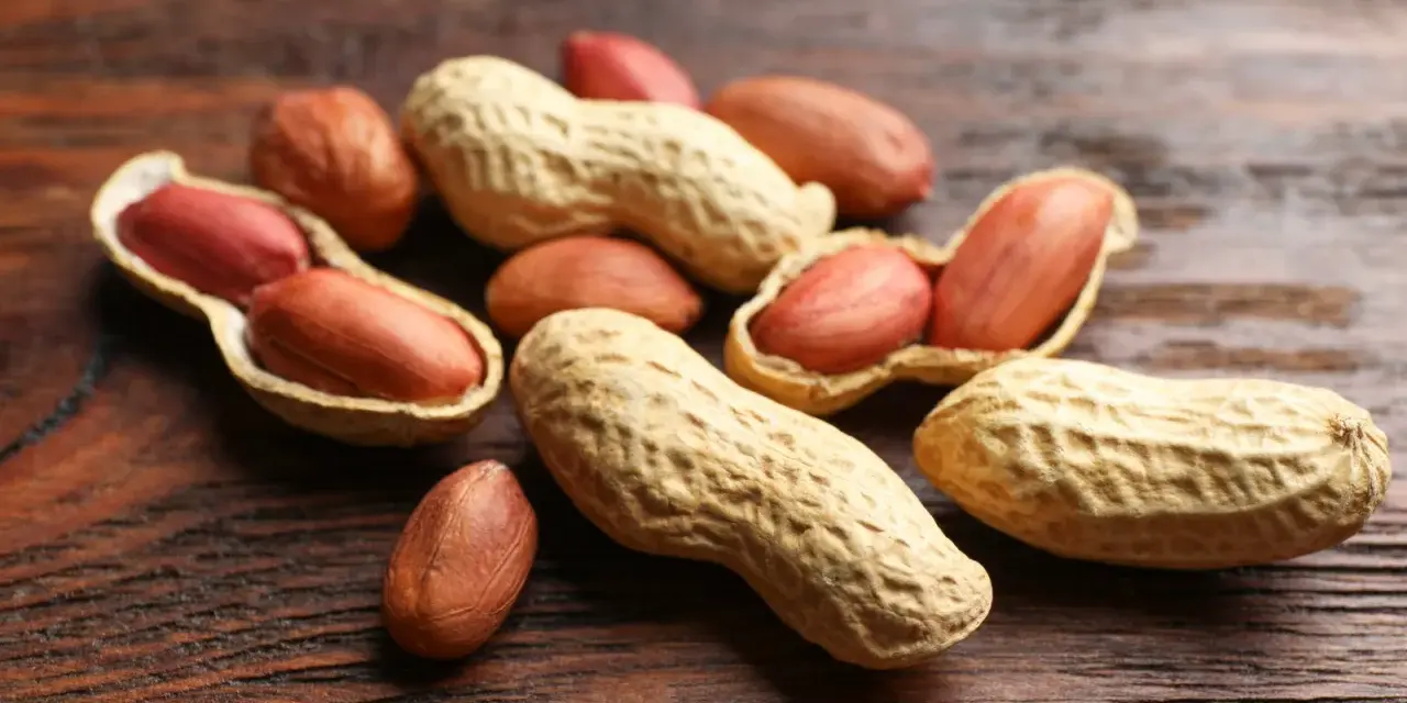 Un tas de noisettes arachides, certaines ouvertes révélant leurs grains rouges, sur un fond de bois sombre.