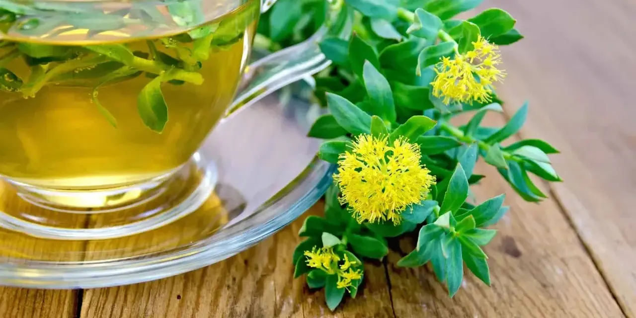 Une tasse de thé à la rhodiola, avec des fleurs jaunes et des feuilles vertes sur une table en bois. Idéal pour soulager les vertiges.