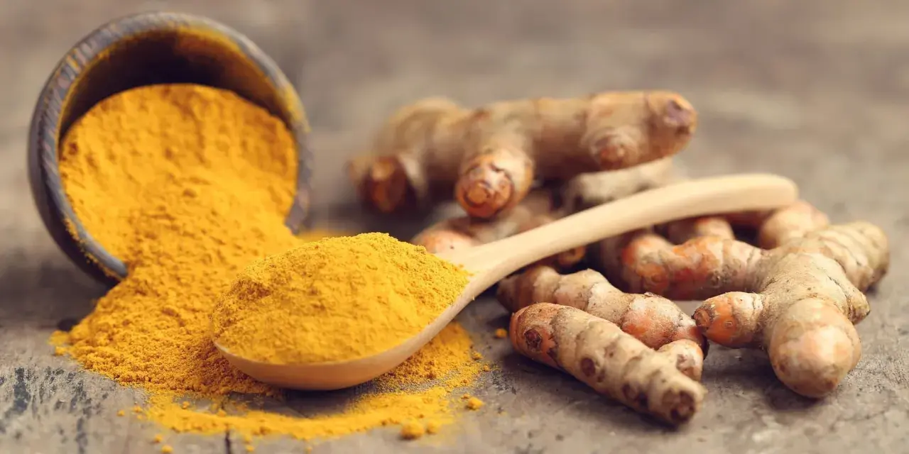 Racines de curcuma et poudre dorée sur une cuillère en bois, symbolisant le curcuma bienfait pour la santé.