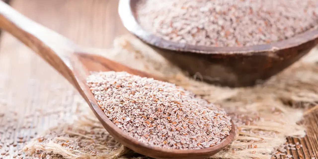 Graines de psyllium sur une cuillère en bois, un remède naturel pour un transit régulier.