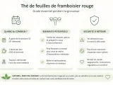 Guide sur le thé de feuilles de framboisier rouge : quand le boire, ses bienfaits potentiels et sa sécurité.