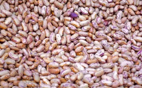 Gros plan sur des haricots tachetés, rappelant les symptômes d'une allergie aux légumineuses.