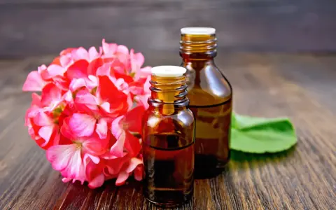 Deux flacons d'huile essentielle sur fond de bois sombre, à côté d'une grappe de fleurs roses. Une solution naturelle contre les moustiques.