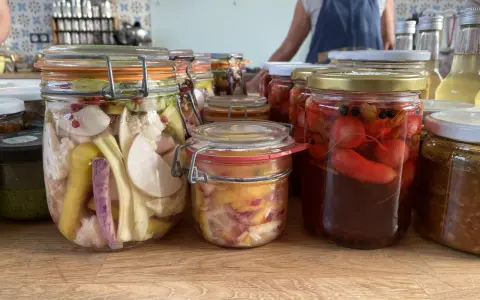 Bocaux de légumes lacto-fermentés, colorés et variés, prêts à être dégustés. Des pickles de légumes maison pour une touche croquante.