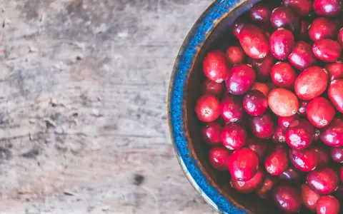 Cranberries dans un bol bleu sur fond de bois. Un remède naturel pour l'infection urinaire.
