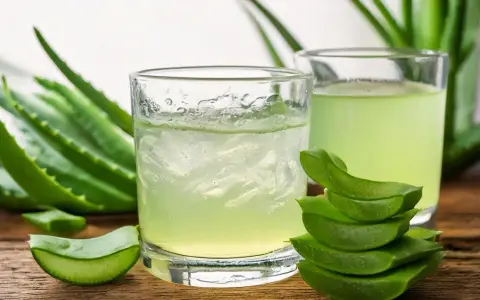 Deux verres de jus d'aloe vera à boire, entourés de feuilles d'aloe vera fraîches et de morceaux coupés.