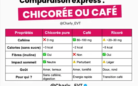 Tableau comparatif chicorée vs café. La chicorée, sans caféine et riche en fibres, offre des bienfaits pour la digestion.
