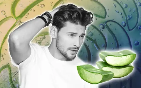 Homme aux cheveux soignés, avec des tranches d'aloe vera. L'aloe vera cuir chevelu est un ingrédient naturel pour des cheveux sains.