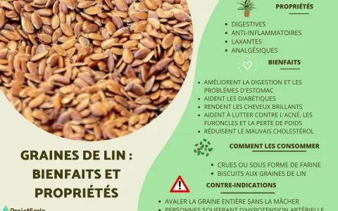 Gros plan sur des graines de lin, petites et brunes, avec une liste de leurs bienfaits et propriétés pour la santé.