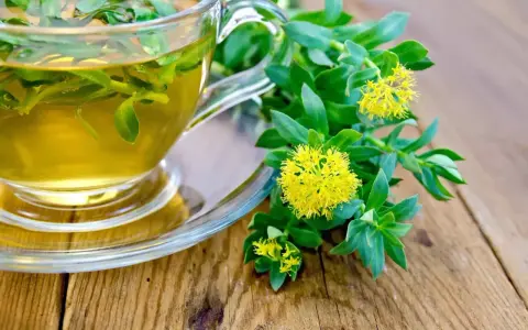 Une tasse de thé à la rhodiola, avec des fleurs jaunes et des feuilles vertes sur une table en bois. Idéal pour soulager les vertiges.
