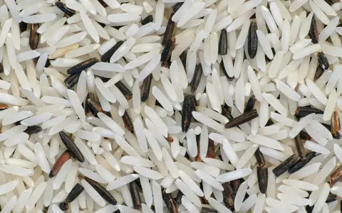 Grains de riz basmati, blancs et noirs, évoquant leur origine et leur mélange savoureux.