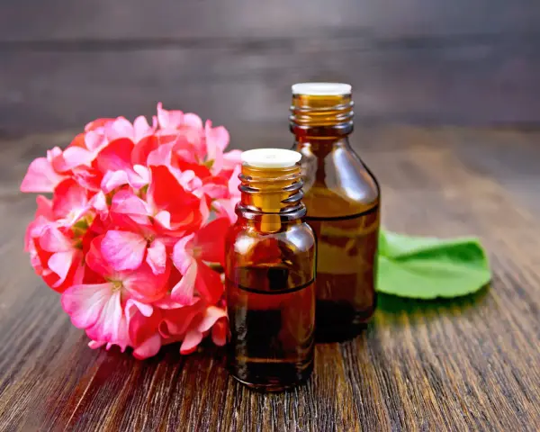 Deux flacons d'huile essentielle sur fond de bois sombre, à côté d'une grappe de fleurs roses. Une solution naturelle contre les moustiques.