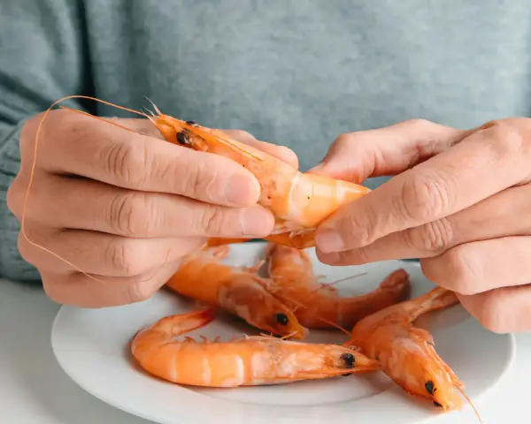Des mains épluchent une crevette crue, posée sur une assiette avec d'autres crevettes. Peut on manger des crevettes crues ?