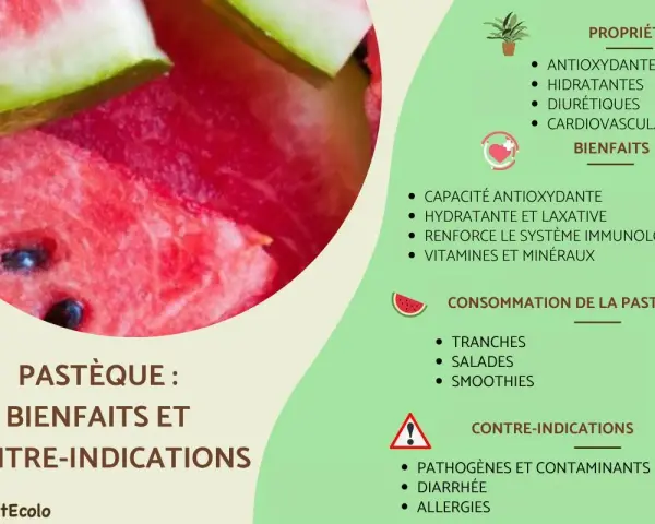 Gros plan sur une pastèque juteuse, avec une liste des bienfaits de la pastèque : hydratante, antioxydante, et renforce le système immunologique.