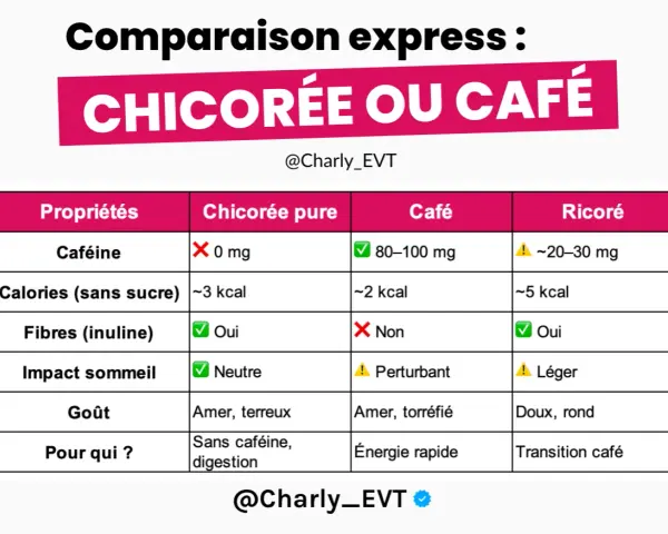 Tableau comparatif chicorée vs café. La chicorée, sans caféine et riche en fibres, offre des bienfaits pour la digestion.