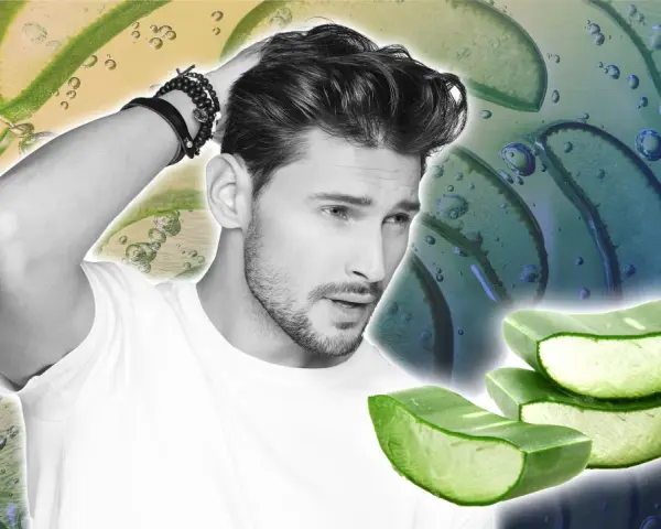 Homme aux cheveux soignés, avec des tranches d'aloe vera. L'aloe vera cuir chevelu est un ingrédient naturel pour des cheveux sains.
