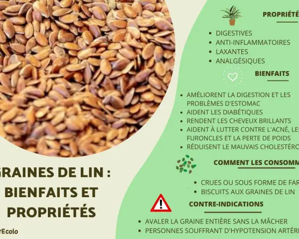 Gros plan sur des graines de lin, petites et brunes, avec une liste de leurs bienfaits et propriétés pour la santé.