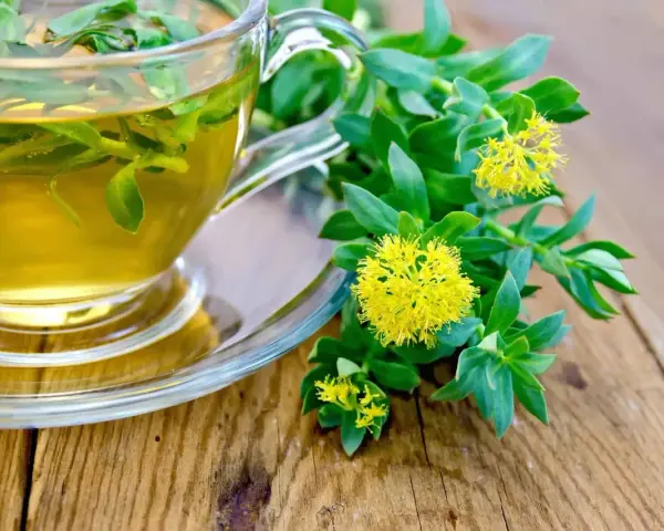 Une tasse de thé à la rhodiola, avec des fleurs jaunes et des feuilles vertes sur une table en bois. Idéal pour soulager les vertiges.