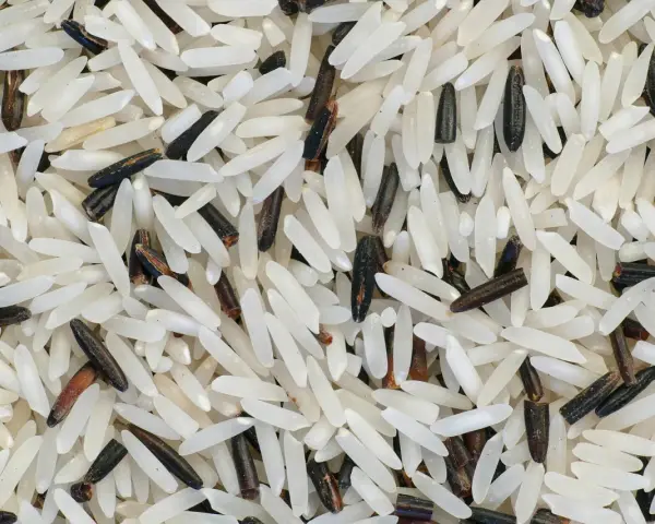 Grains de riz basmati, blancs et noirs, évoquant leur origine et leur mélange savoureux.