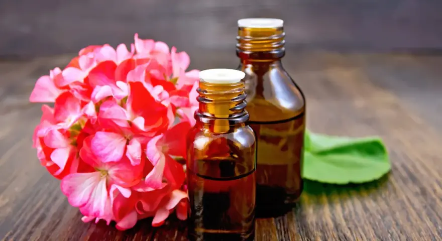 Deux flacons d'huile essentielle sur fond de bois sombre, à côté d'une grappe de fleurs roses. Une solution naturelle contre les moustiques.