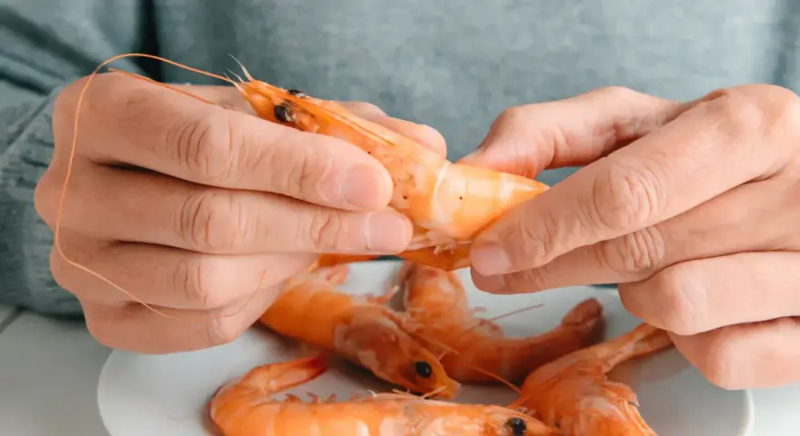 Des mains épluchent une crevette crue, posée sur une assiette avec d'autres crevettes. Peut on manger des crevettes crues ?