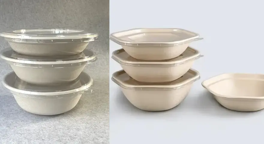 Empilement de bols à sauce en carton biodégradable avec couvercles transparents. Parfait pour emporter vos plats préférés.