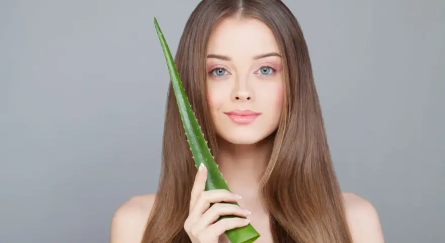 Une jeune femme aux cheveux longs tient une feuille d'aloe vera, montrant comment utiliser l'aloe vera pour une peau éclatante.