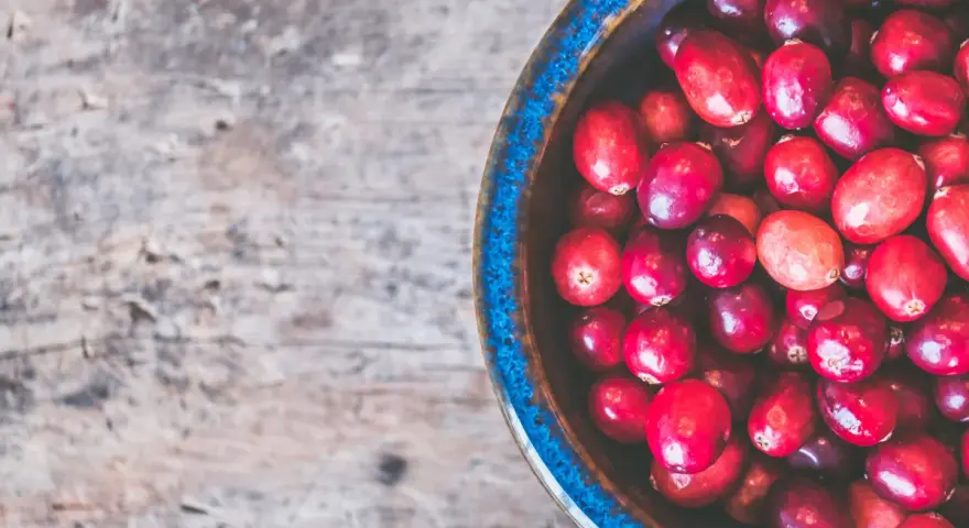 Cranberries dans un bol bleu sur fond de bois. Un remède naturel pour l'infection urinaire.