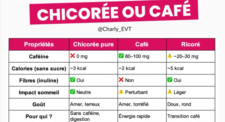 Tableau comparatif chicorée vs café. La chicorée, sans caféine et riche en fibres, offre des bienfaits pour la digestion.
