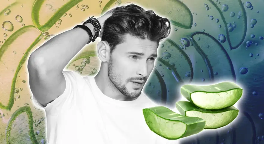 Homme aux cheveux soignés, avec des tranches d'aloe vera. L'aloe vera cuir chevelu est un ingrédient naturel pour des cheveux sains.