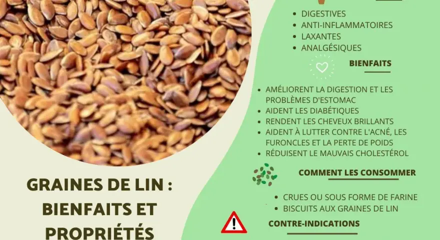 Gros plan sur des graines de lin, petites et brunes, avec une liste de leurs bienfaits et propriétés pour la santé.