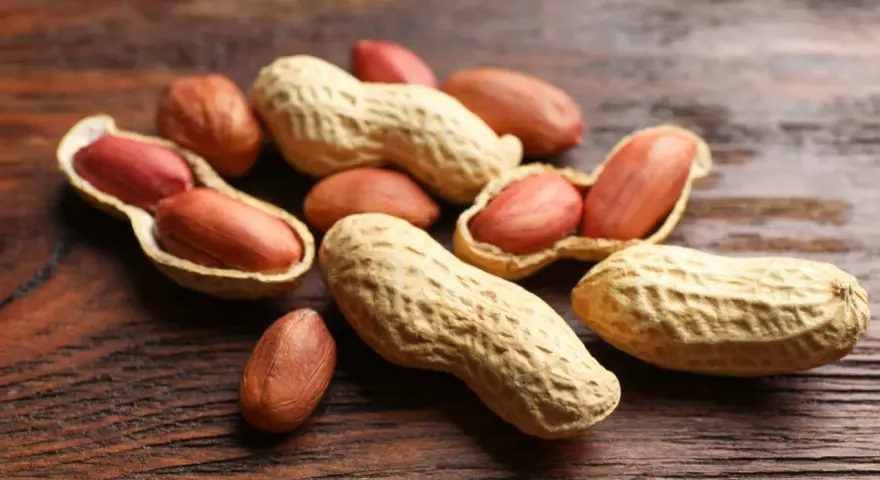 Un tas de noisettes arachides, certaines ouvertes révélant leurs grains rouges, sur un fond de bois sombre.