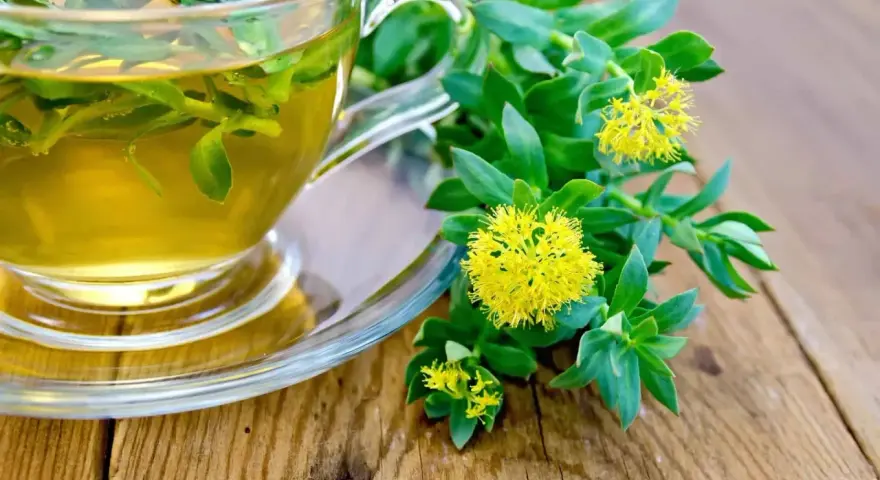 Une tasse de thé à la rhodiola, avec des fleurs jaunes et des feuilles vertes sur une table en bois. Idéal pour soulager les vertiges.