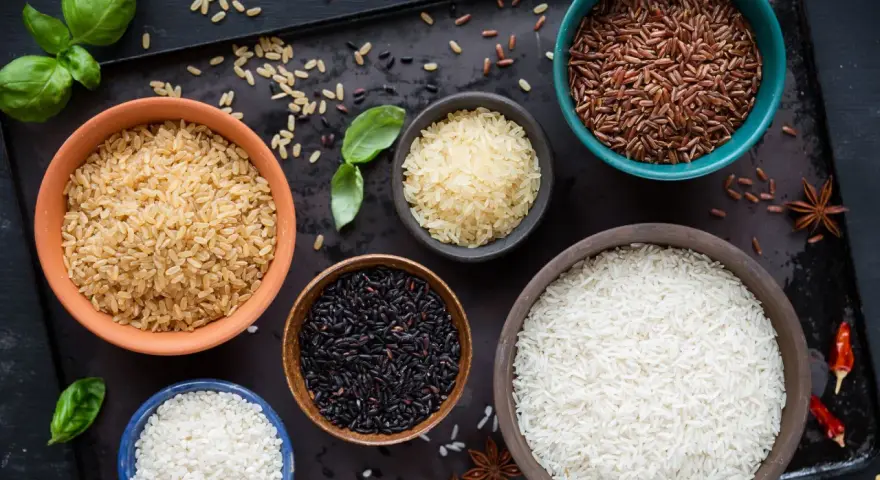 Cinq bols de riz différents : blanc, brun, noir, rouge et riz germé, disposés sur un plateau sombre avec des herbes et des épices.