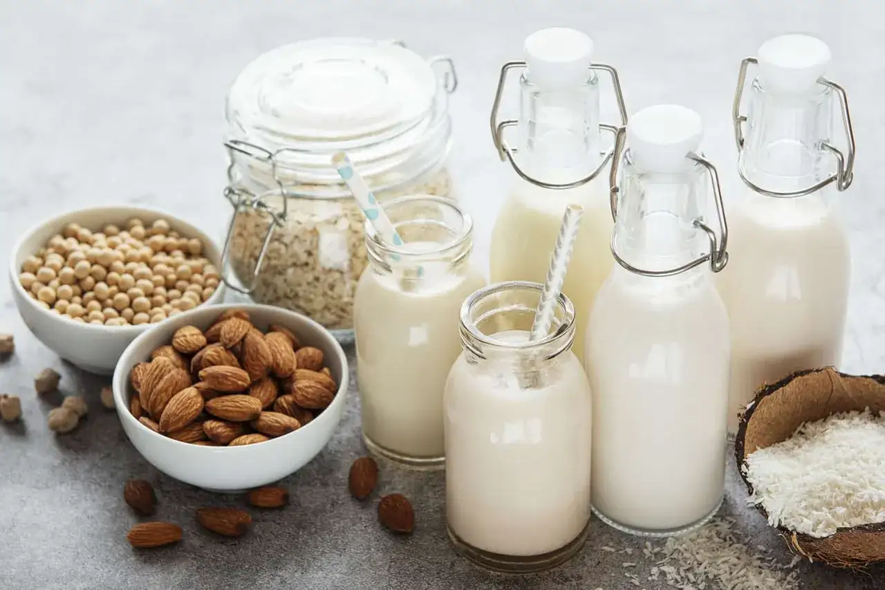 Des laits v&eacute;g&eacute;taux vari&eacute;s (soja, amande, avoine, coco) pr&eacute;sent&eacute;s dans des bouteilles, parfaits pour remplacer le lait traditionnel.